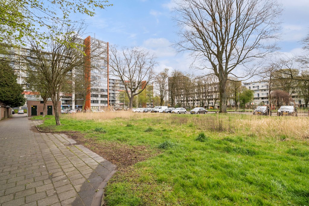 Van Bosseplantsoen 7_57.jpg